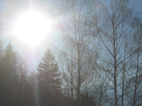 Ski 073.jpg   28kb   26.03.2021 22:23:40